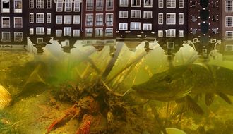 De stad onder de waterspiegel